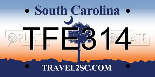 TFE314 South Carolina License Plate