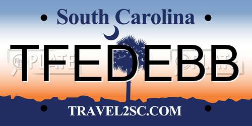 TFEDEBB South Carolina License Plate