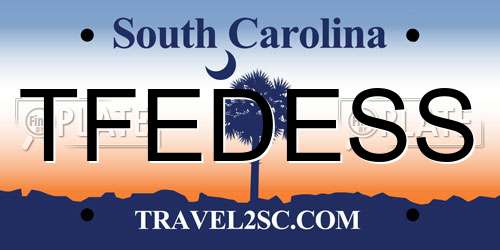 TFEDESS South Carolina License Plate