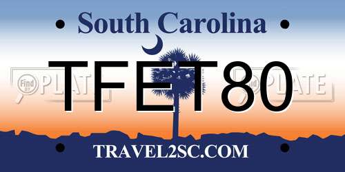 TFET80 South Carolina License Plate