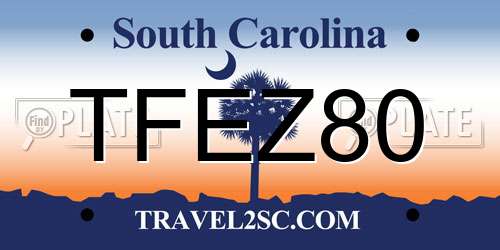 TFEZ80 South Carolina License Plate