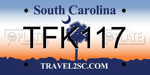 TFK117 South Carolina License Plate