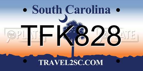 TFK828 South Carolina License Plate