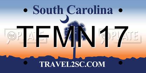 TFMN17 South Carolina License Plate