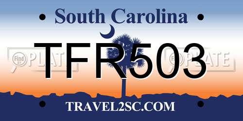 TFR503 South Carolina License Plate