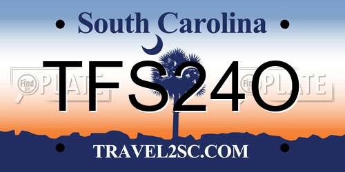 TFS24O South Carolina License Plate