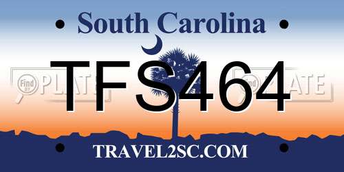 TFS464 South Carolina License Plate