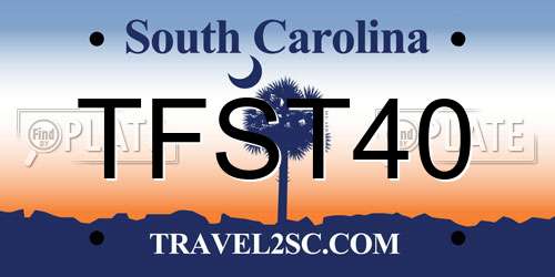 TFST40 South Carolina License Plate