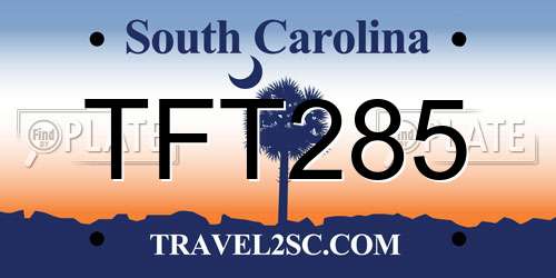 TFT285 South Carolina License Plate