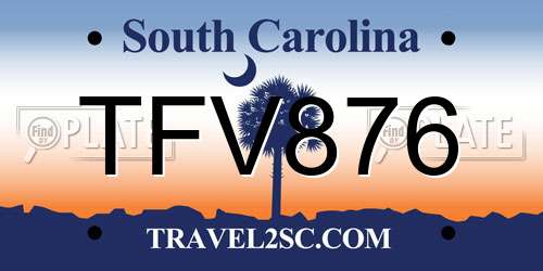 TFV876 South Carolina License Plate