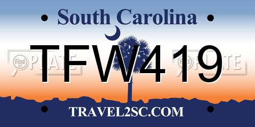 TFW419 South Carolina License Plate