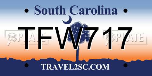 TFW717 South Carolina License Plate