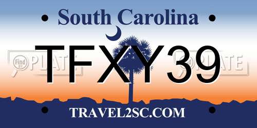 TFXY39 South Carolina License Plate