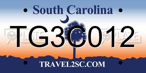 TG3C012 South Carolina License Plate
