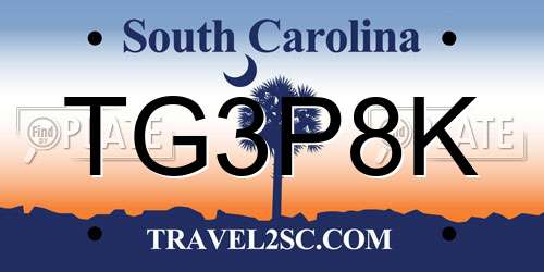 TG3P8K South Carolina License Plate