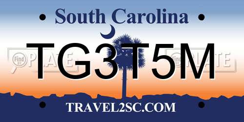 TG3T5M South Carolina License Plate