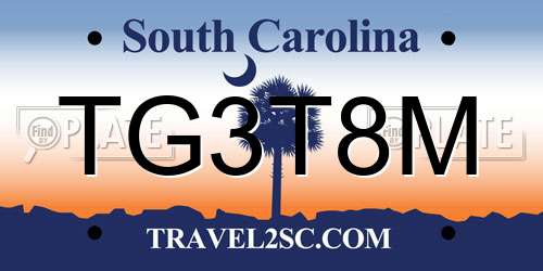 TG3T8M South Carolina License Plate
