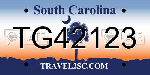 TG42123 South Carolina License Plate