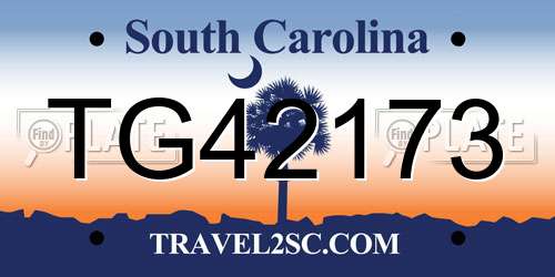 TG42173 South Carolina License Plate