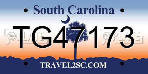 TG47173 South Carolina License Plate