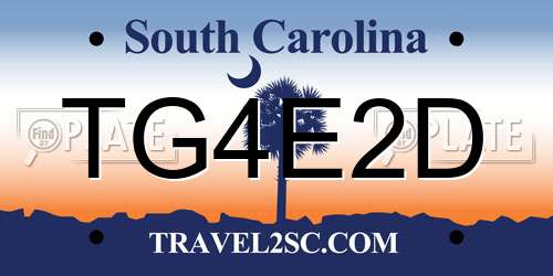 TG4E2D South Carolina License Plate