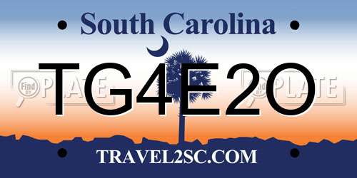 TG4E2O South Carolina License Plate