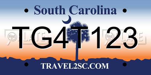 TG4T123 South Carolina License Plate