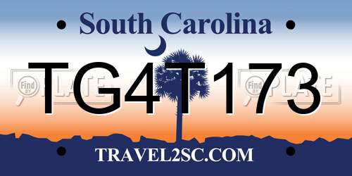 TG4T173 South Carolina License Plate