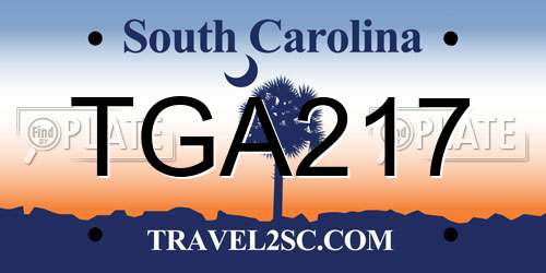 TGA217 South Carolina License Plate