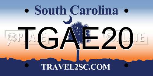 TGAE20 South Carolina License Plate