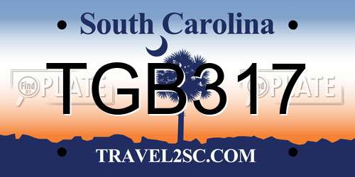 TGB317 South Carolina License Plate