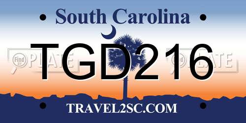 TGD216 South Carolina License Plate