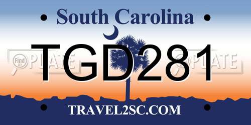 TGD281 South Carolina License Plate