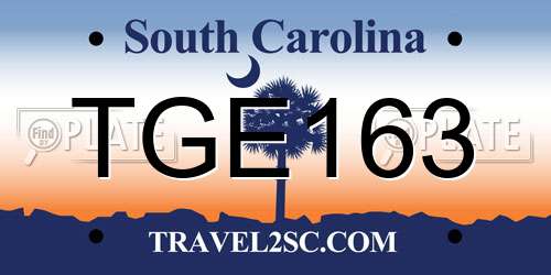 TGE163 South Carolina License Plate