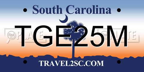 TGE25M South Carolina License Plate