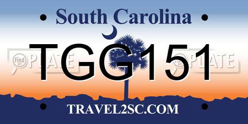 TGG151 South Carolina License Plate