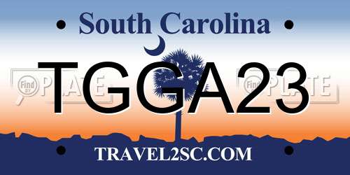 TGGA23 South Carolina License Plate