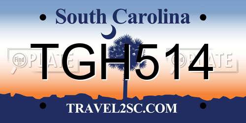 TGH514 South Carolina License Plate