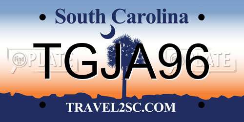 TGJA96 South Carolina License Plate