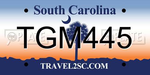 TGM445 South Carolina License Plate
