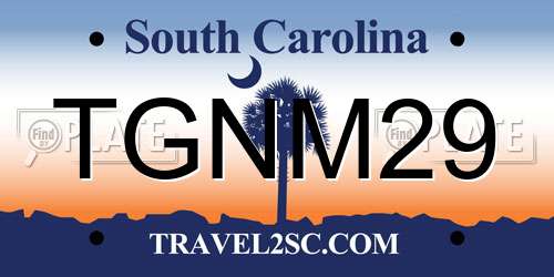 TGNM29 South Carolina License Plate