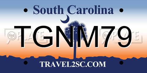 TGNM79 South Carolina License Plate