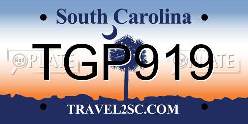 TGP919 South Carolina License Plate