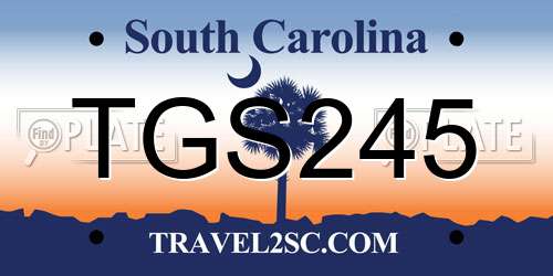 TGS245 South Carolina License Plate