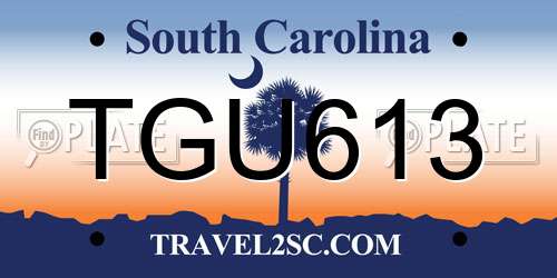 TGU613 South Carolina License Plate