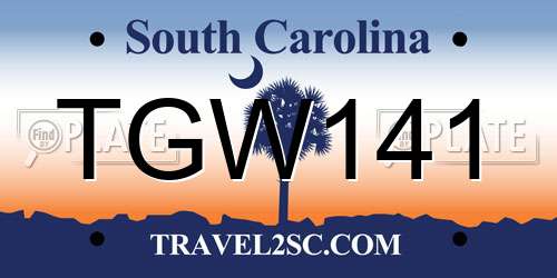 TGW141 South Carolina License Plate