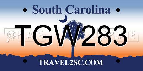 TGW283 South Carolina License Plate