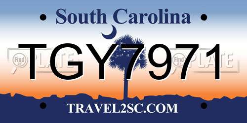 TGY7971 South Carolina License Plate