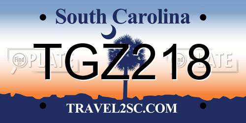 TGZ218 South Carolina License Plate