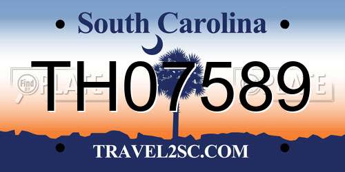 TH07589 South Carolina License Plate